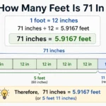 how many feet is 71 in