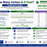 How Many Feet Is 9 Inches? Complete Guide