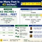 how many feet is 43 inches