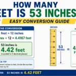 how many feet is 53 inches