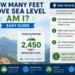 how many feet above sea level am i