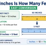 60 inches is how many feet
