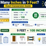 how many inches in 9 feet