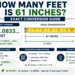 how many feet is 61 inches