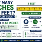 how many inches is 4 feet