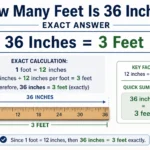 How Many Feet Is 36 Inches