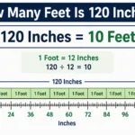 How Many Feet Is 120 Inches