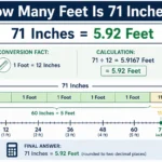 how many feet is 71 inches