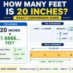 how many feet is 20 inches