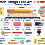 things that are 2 inches