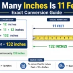 how many inches is 11 feet