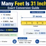 How Many Feet Is 31 Inches