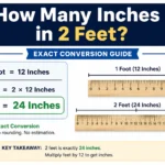 how many inches in 2 feet