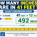 how many feet is 41 inches