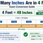 how many inches are in 4 feet