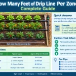 How Many Feet of Drip Line Per Zone