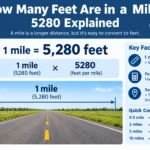 How Many Feet Are in a Mile 5280 feet
