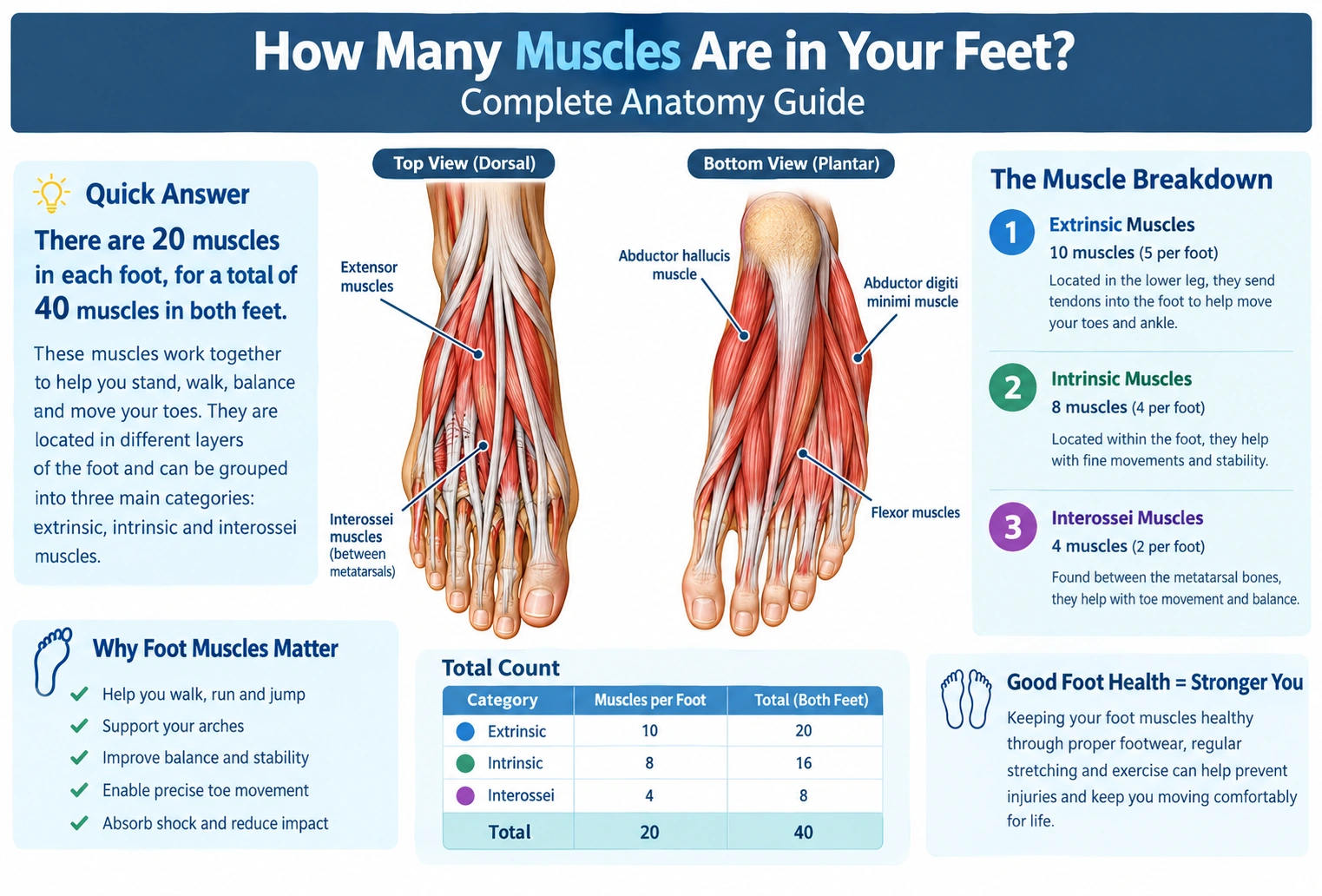 How Many Muscles Are in Your Feet