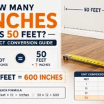 How Many Inches Is 50 Feet