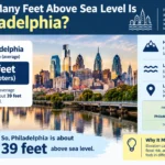 how many feet above sea level is philadelphia