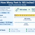 How Many Feet Is 165 Inches